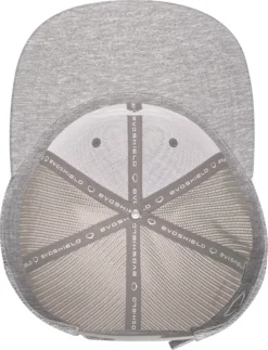 EvoShield B.I.G. Snapback Hat -BaseBalls Shop ESBIGSNP WTV8743HGOSFM HeatherGrey TOP